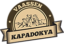 Logo Kapadokya Vaassen